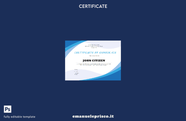 modello di certificato USA Plumbing Experience in stile verificato